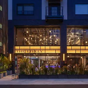 https://the-lively-honmachi-osaka.hotels-osaka.net