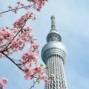 日本橋室町bay ** 東京都